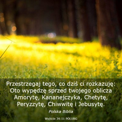 Picture 03 - Wyjścia 34:11 POLUBG - Przestrzegaj tego, co dziś ci rozkazuję: Oto - Bible Verse Picture
