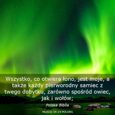 Picture 03 - Wyjścia 34:19 POLUBG - Wszystko, co otwiera łono, jest moje, a także - Bible Verse Picture