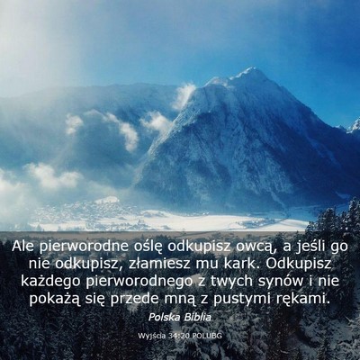 Picture 03 - Wyjścia 34:20 POLUBG - Ale pierworodne oślę odkupisz owcą, a jeśli - Bible Verse Picture