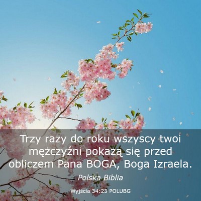 Picture 03 - Wyjścia 34:23 POLUBG - Trzy razy do roku wszyscy twoi mężczyźni - Bible Verse Picture
