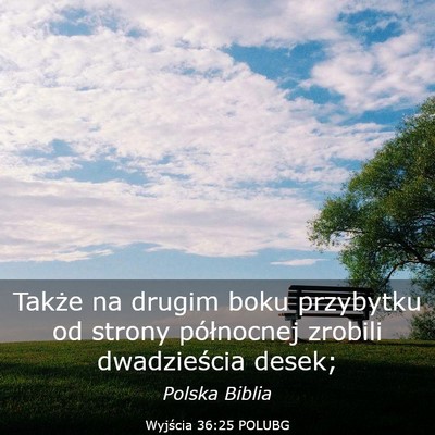 Picture 03 - Wyjścia 36:25 POLUBG - Także na drugim boku przybytku od strony - Bible Verse Picture