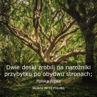 Picture 03 - Wyjścia 36:28 POLUBG - Dwie deski zrobili na narożniki przybytku po - Bible Verse Picture