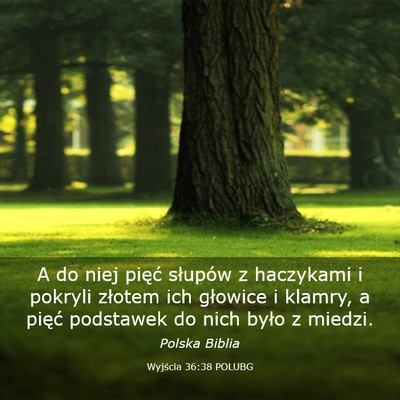 Picture 03 - Wyjścia 36:38 POLUBG - A do niej pięć słupów z haczykami i pokryli - Bible Verse Picture