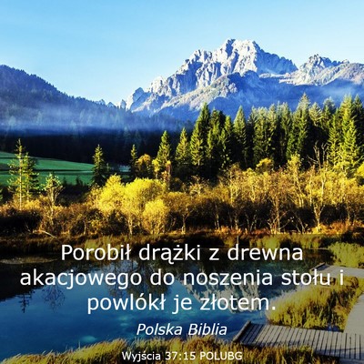 Picture 03 - Wyjścia 37:15 POLUBG - Porobił drążki z drewna akacjowego do noszenia - Bible Verse Picture
