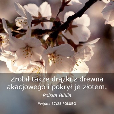 Picture 03 - Wyjścia 37:28 POLUBG - Zrobił także drążki z drewna akacjowego i - Bible Verse Picture