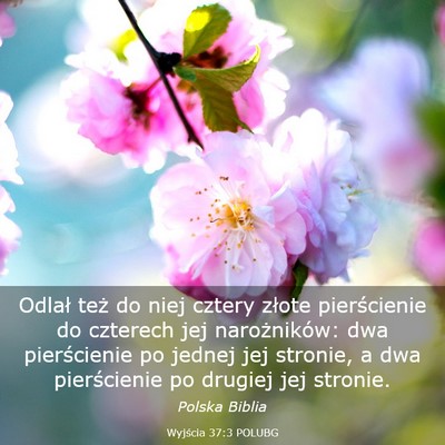 Picture 03 - Wyjścia 37:3 POLUBG - Odlał też do niej cztery złote pierścienie do - Bible Verse Picture