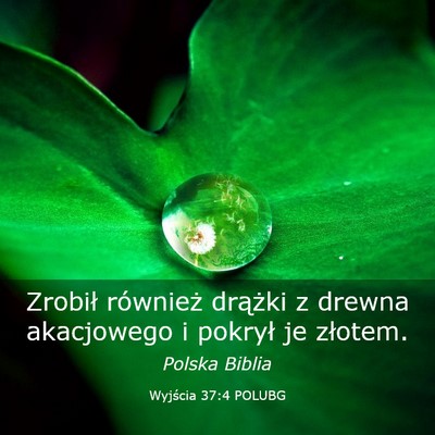 Picture 03 - Wyjścia 37:4 POLUBG - Zrobił również drążki z drewna akacjowego i - Bible Verse Picture