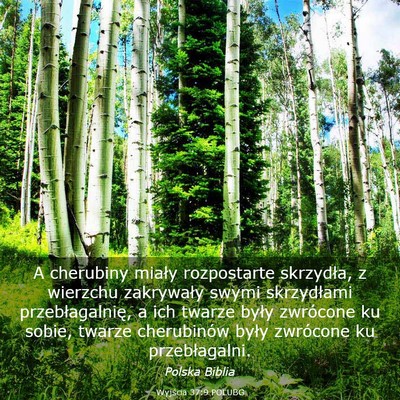 Picture 03 - Wyjścia 37:9 POLUBG - A cherubiny miały rozpostarte skrzydła, z - Bible Verse Picture