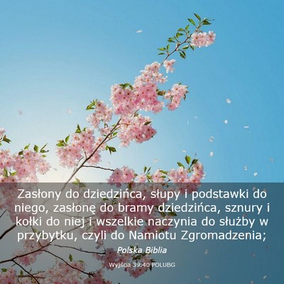 Picture 03 - Wyjścia 39:40 POLUBG - Zasłony do dziedzińca, słupy i podstawki do - Bible Verse Picture