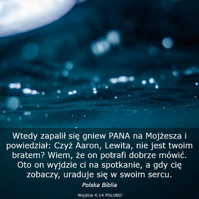 Picture 03 - Wyjścia 4:14 POLUBG - Wtedy zapalił się gniew PANA na Mojżesza i - Bible Verse Picture