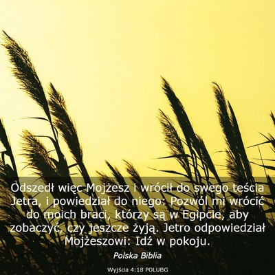 Picture 03 - Wyjścia 4:18 POLUBG - Odszedł więc Mojżesz i wrócił do swego - Bible Verse Picture