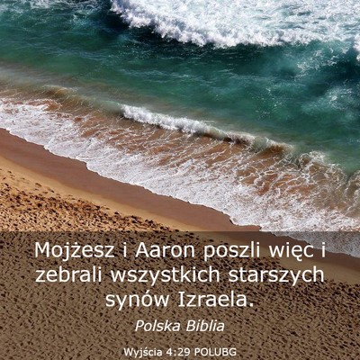 Picture 03 - Wyjścia 4:29 POLUBG - Mojżesz i Aaron poszli więc i zebrali - Bible Verse Picture
