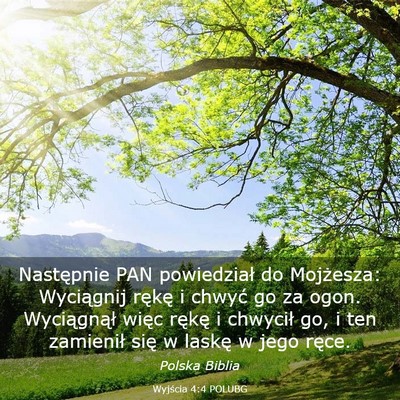 Picture 03 - Wyjścia 4:4 POLUBG - Następnie PAN powiedział do Mojżesza: - Bible Verse Picture