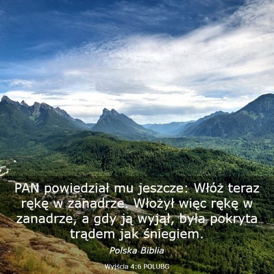 Picture 03 - Wyjścia 4:6 POLUBG - PAN powiedział mu jeszcze: Włóż teraz rękę - Bible Verse Picture