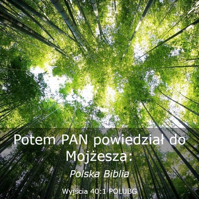 Picture 03 - Wyjścia 40:1 POLUBG - Potem PAN powiedział do - Bible Verse Picture