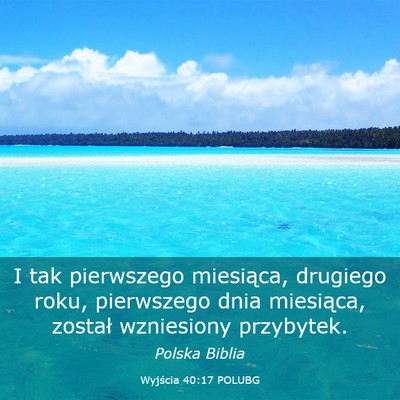 Picture 03 - Wyjścia 40:17 POLUBG - I tak pierwszego miesiąca, drugiego roku, - Bible Verse Picture
