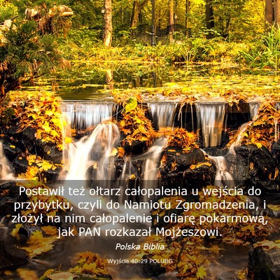 Picture 03 - Wyjścia 40:29 POLUBG - Postawił też ołtarz całopalenia u wejścia do - Bible Verse Picture