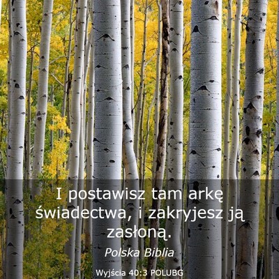 Picture 03 - Wyjścia 40:3 POLUBG - I postawisz tam arkę świadectwa, i zakryjesz - Bible Verse Picture