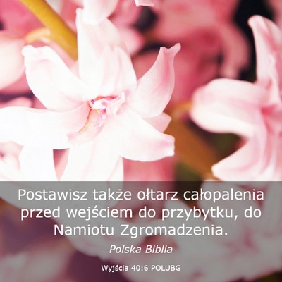 Picture 03 - Wyjścia 40:6 POLUBG - Postawisz także ołtarz całopalenia przed - Bible Verse Picture