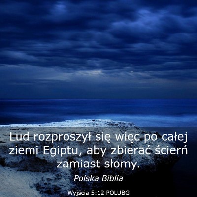 Picture 03 - Wyjścia 5:12 POLUBG - Lud rozproszył się więc po całej ziemi - Bible Verse Picture