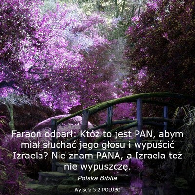 Picture 03 - Wyjścia 5:2 POLUBG - Faraon odparł: Któż to jest PAN, abym miał - Bible Verse Picture