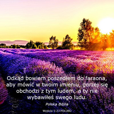 Picture 03 - Wyjścia 5:23 POLUBG - Odkąd bowiem poszedłem do faraona, aby mówić - Bible Verse Picture
