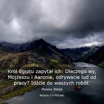 Picture 03 - Wyjścia 5:4 POLUBG - Król Egiptu zapytał ich: Dlaczego wy, Mojżeszu - Bible Verse Picture