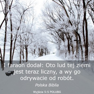 Picture 03 - Wyjścia 5:5 POLUBG - I faraon dodał: Oto lud tej ziemi jest teraz - Bible Verse Picture