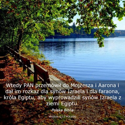 Picture 03 - Wyjścia 6:13 POLUBG - Wtedy PAN przemówił do Mojżesza i Aarona i - Bible Verse Picture
