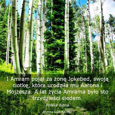 Picture 03 - Wyjścia 6:20 POLUBG - I Amram pojął za żonę Jokebed, swoją - Bible Verse Picture