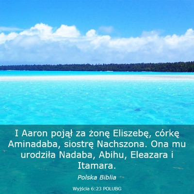 Picture 03 - Wyjścia 6:23 POLUBG - I Aaron pojął za żonę Eliszebę, córkę - Bible Verse Picture
