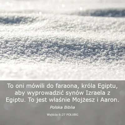 Picture 03 - Wyjścia 6:27 POLUBG - To oni mówili do faraona, króla Egiptu, aby - Bible Verse Picture