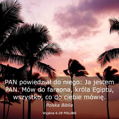 Picture 03 - Wyjścia 6:29 POLUBG - PAN powiedział do niego: Ja jestem PAN. Mów do - Bible Verse Picture