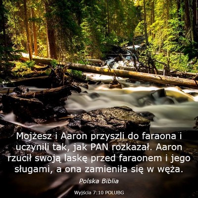 Picture 03 - Wyjścia 7:10 POLUBG - Mojżesz i Aaron przyszli do faraona i uczynili - Bible Verse Picture