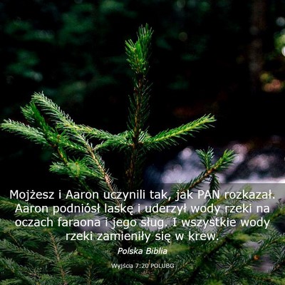 Picture 03 - Wyjścia 7:20 POLUBG - Mojżesz i Aaron uczynili tak, jak PAN rozkazał. - Bible Verse Picture
