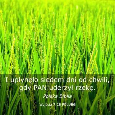 Picture 03 - Wyjścia 7:25 POLUBG - I upłynęło siedem dni od chwili, gdy PAN - Bible Verse Picture