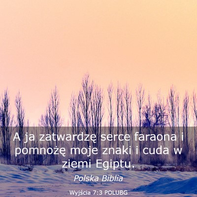 Picture 03 - Wyjścia 7:3 POLUBG - A ja zatwardzę serce faraona i pomnożę moje - Bible Verse Picture