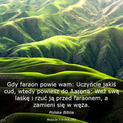 Picture 03 - Wyjścia 7:9 POLUBG - Gdy faraon powie wam: Uczyńcie jakiś cud, wtedy - Bible Verse Picture