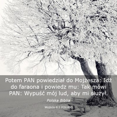 Picture 03 - Wyjścia 8:1 POLUBG - Potem PAN powiedział do Mojżesza: Idź do - Bible Verse Picture