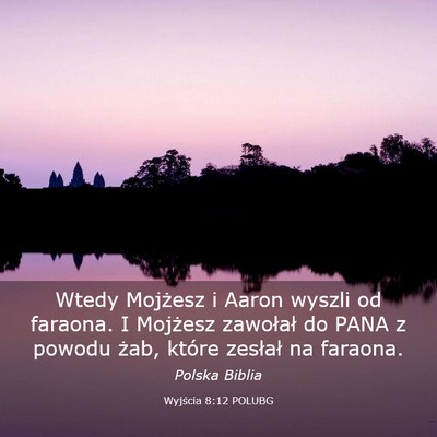 Picture 03 - Wyjścia 8:12 POLUBG - Wtedy Mojżesz i Aaron wyszli od faraona. I - Bible Verse Picture
