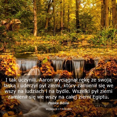 Picture 03 - Wyjścia 8:17 POLUBG - I tak uczynili. Aaron wyciągnął rękę ze - Bible Verse Picture