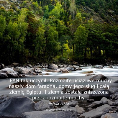 Picture 03 - Wyjścia 8:24 POLUBG - I PAN tak uczynił. Rozmaite uciążliwe muchy - Bible Verse Picture