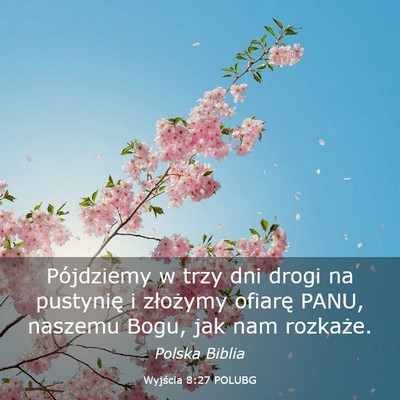 Picture 03 - Wyjścia 8:27 POLUBG - Pójdziemy w trzy dni drogi na pustynię i - Bible Verse Picture