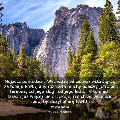 Picture 03 - Wyjścia 8:29 POLUBG - Mojżesz powiedział: Wychodzę od ciebie i - Bible Verse Picture