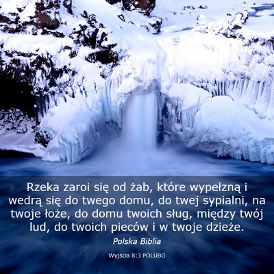 Picture 03 - Wyjścia 8:3 POLUBG - Rzeka zaroi się od żab, które wypełzną i - Bible Verse Picture