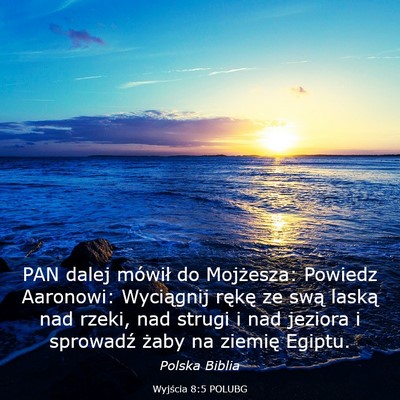 Picture 03 - Wyjścia 8:5 POLUBG - PAN dalej mówił do Mojżesza: Powiedz Aaronowi: - Bible Verse Picture