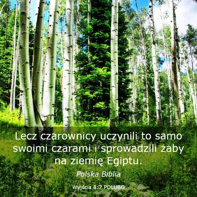 Picture 03 - Wyjścia 8:7 POLUBG - Lecz czarownicy uczynili to samo swoimi czarami i - Bible Verse Picture