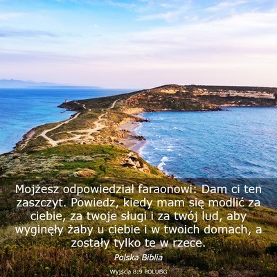 Picture 03 - Wyjścia 8:9 POLUBG - Mojżesz odpowiedział faraonowi: Dam ci ten - Bible Verse Picture