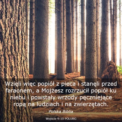 Picture 03 - Wyjścia 9:10 POLUBG - Wzięli więc popiół z pieca i stanęli przed - Bible Verse Picture
