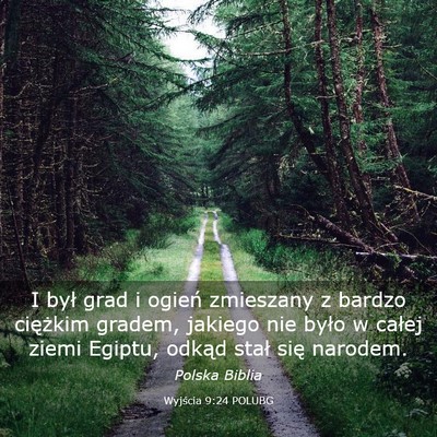 Picture 03 - Wyjścia 9:24 POLUBG - I był grad i ogień zmieszany z bardzo ciężkim - Bible Verse Picture